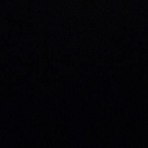 Meet your Posher, Sophia